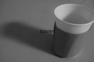 one cup